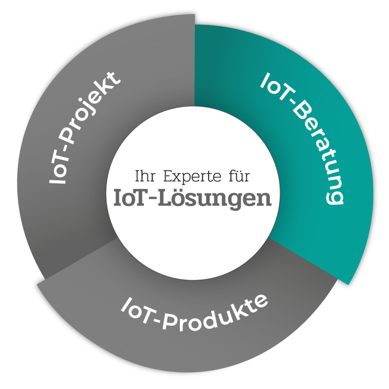 IoT-Beratung vom Experten