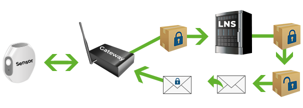 Graphic LoRaWAN-Netzwerk