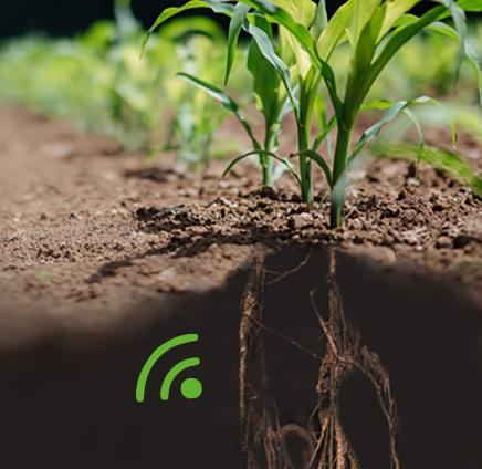 Bodenfeuchtesensoren