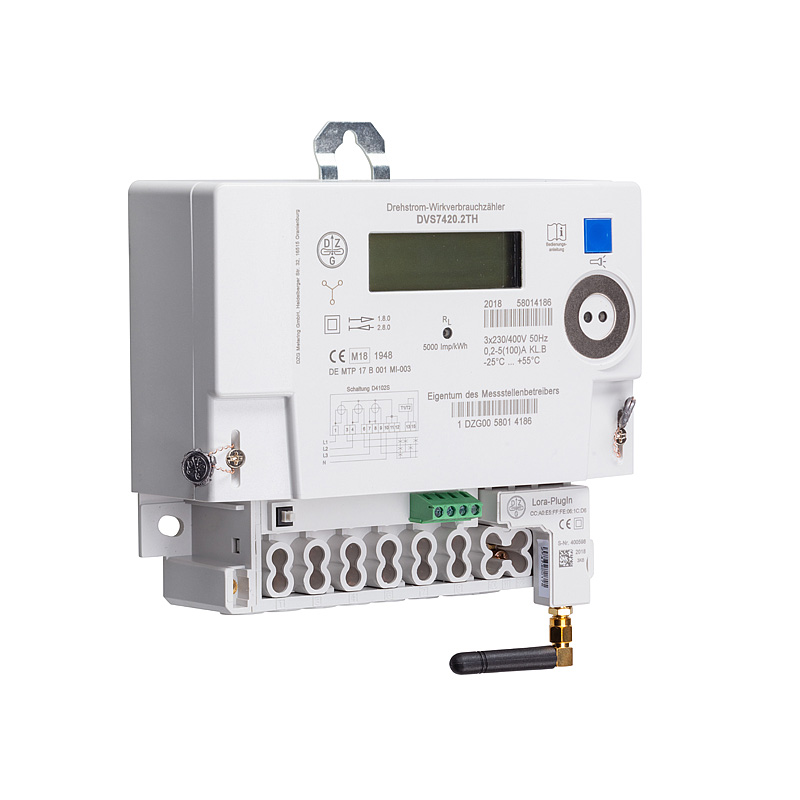 LoRa Interface für DVS74