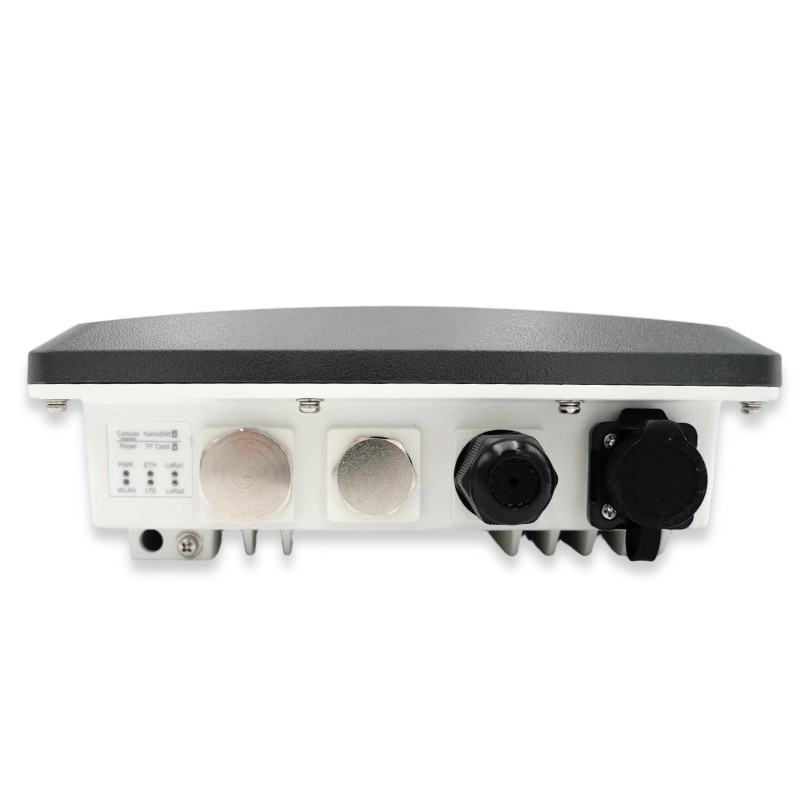 RAK 7393 WisGate Mioty Outdoor Gateway mit LoRa