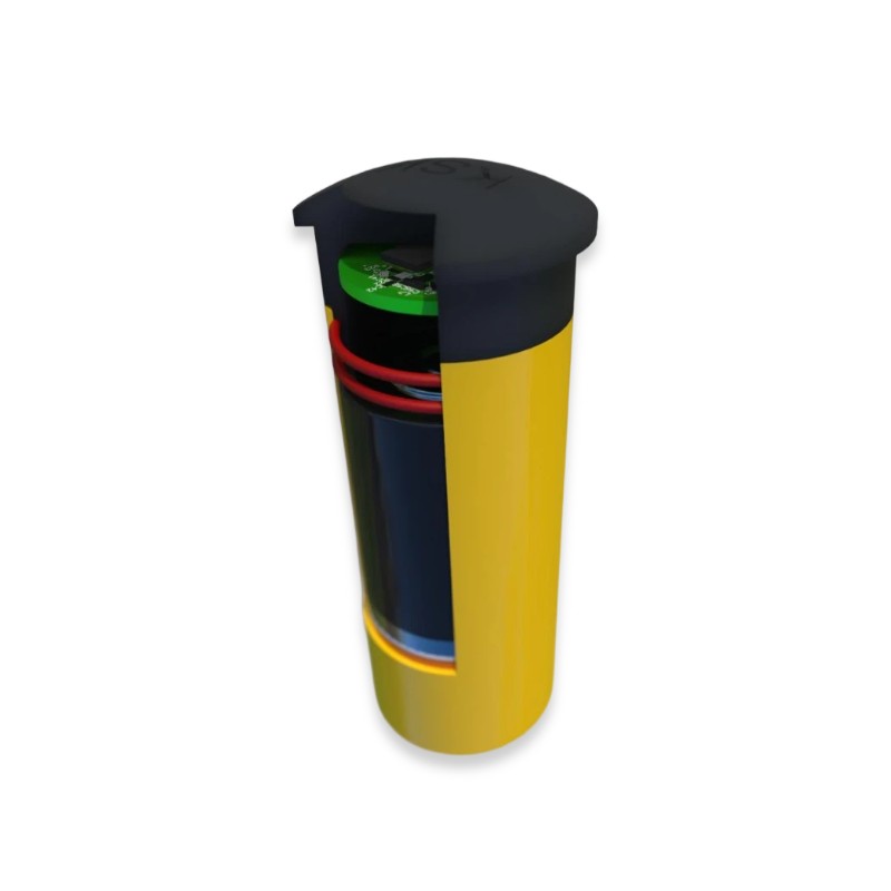 KSK P01 LoRaWAN Parksensor (Magnet, Radar, inground)