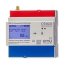 EMU Professional II 3/100 LoRaWAN Energiezähler