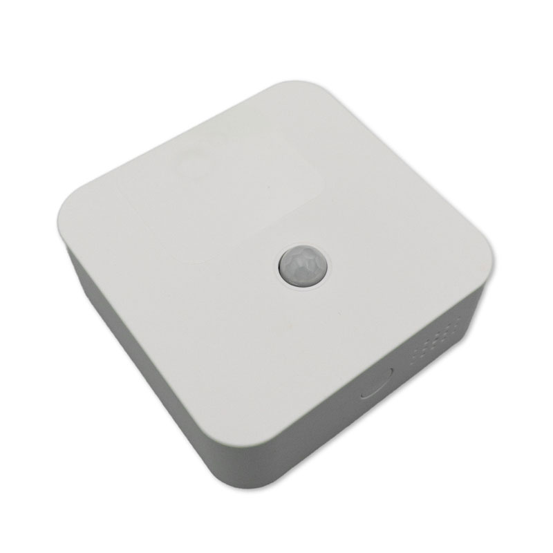 [BRO-WSMS-156] MerryIoT MS10 LoRaWAN Bewegungssensor