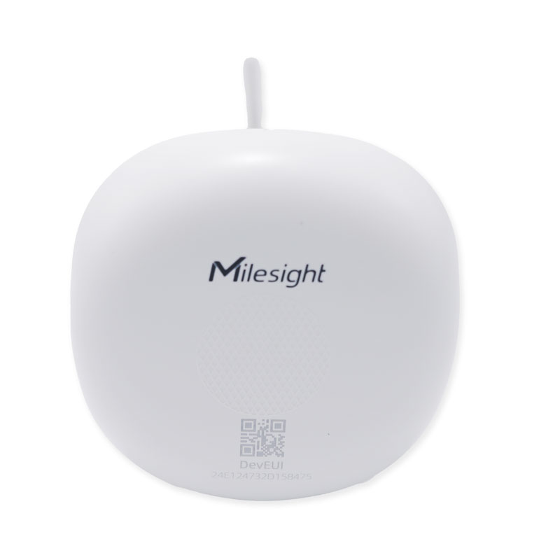 Milesight TS101 LoRaWAN Einstechtemperatursensor